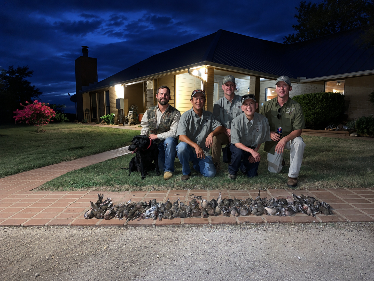 Dove Hunt
